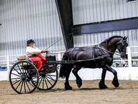 sssSun-1496