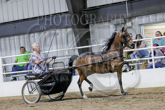 sssSun-1109