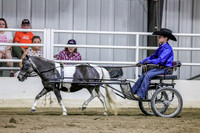 sssSun-3377