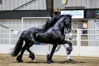 sss24-2119
