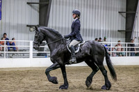 sss2-Sa4-3196