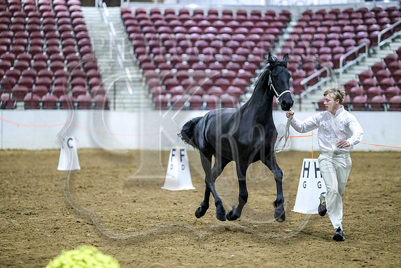 BN5A2742