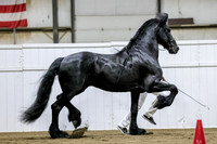 sss24-0789