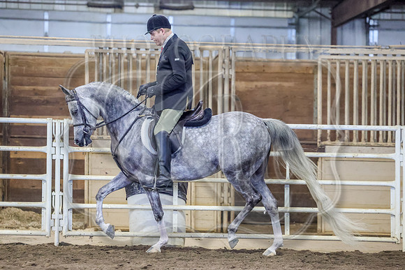 SahibaSun-3143