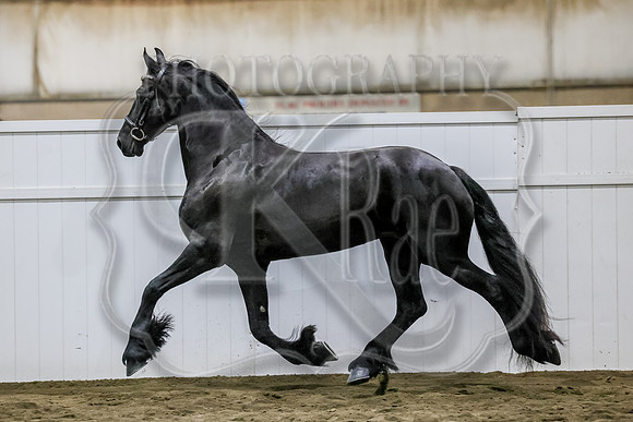 sss24-1212