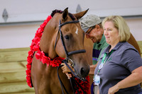 KRaeSHNB-0586