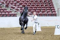 BN5A5958