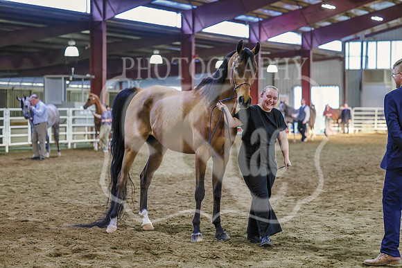 BN5A6822